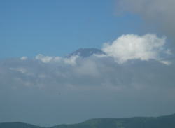雲の上に頭を見せた「富士」